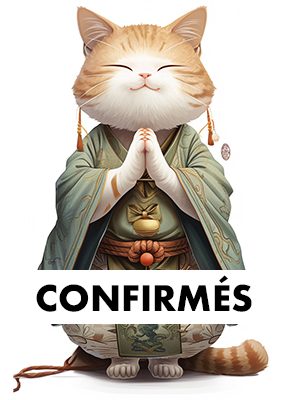 chat-confirmes-adobe-indesign-adobe-express-fbgraphic-visioconference-formation-midjourney-firefly-photoshop-illustrator-indesign-cpf-opco