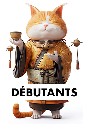 chat-debutants-adobe-indesign-adobe-express-fbgraphic-visioconference-formation-midjourney-firefly-photoshop-illustrator-indesign-cpf-opco