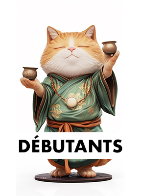 chat-wordpress-debutant