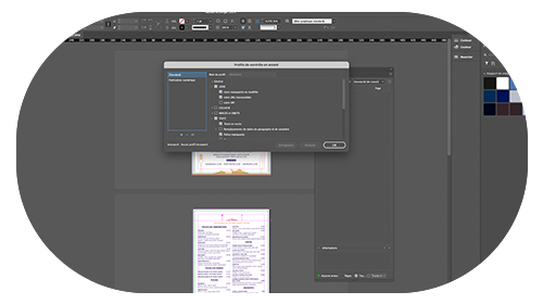 controle-adobe-fbgraphic-visioconference-formation-midjourney-firefly-photoshop-illustrator-indesign-cpf-opco